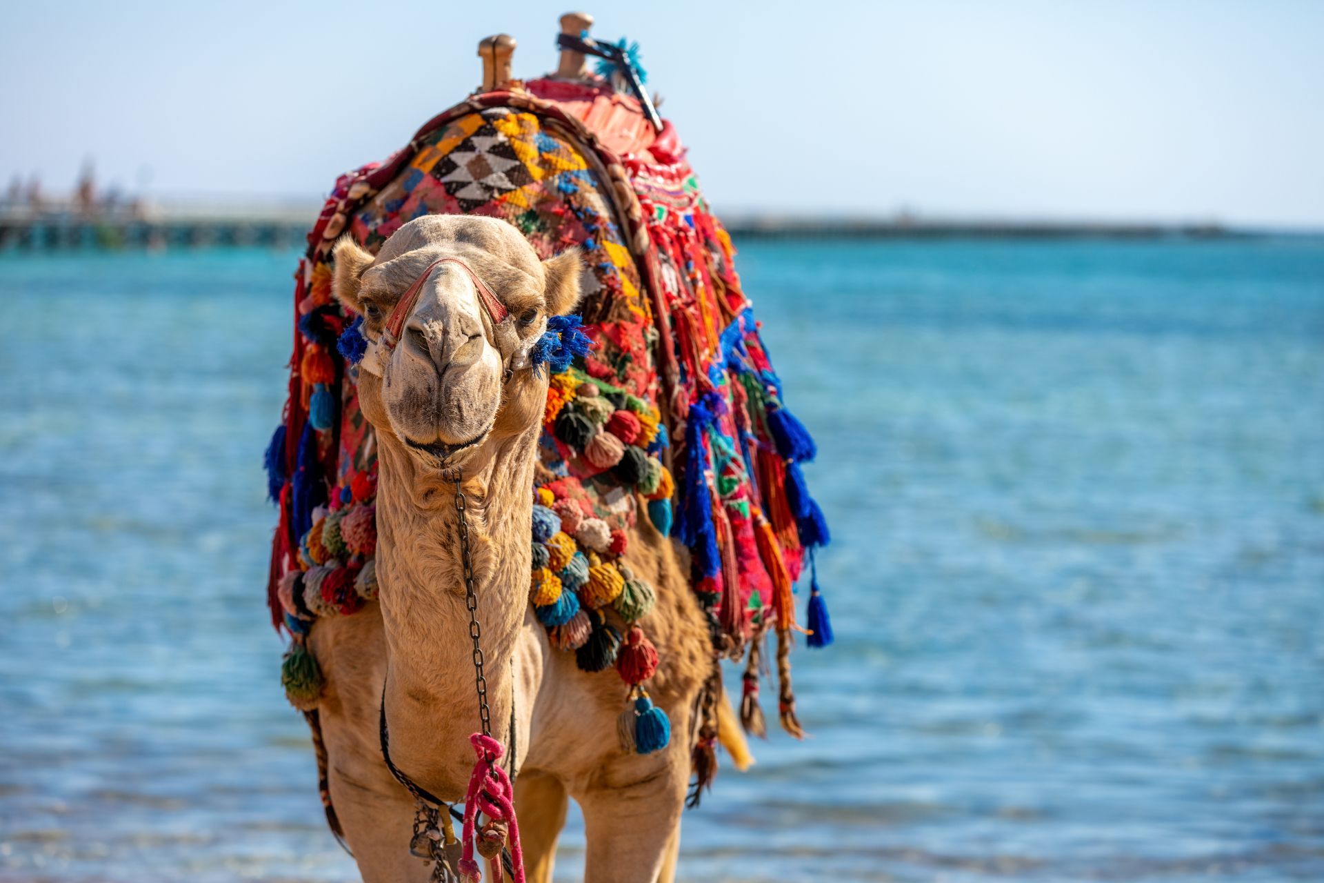 Exploring the Heavenly Red Sea